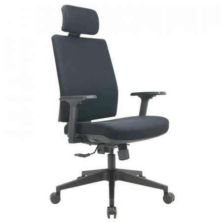 FAUTEUIL PEGASI AP.T + ACC REGLABLE