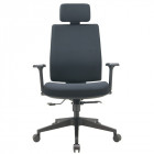 FAUTEUIL PEGASI AP.T + ACC REGLABLE